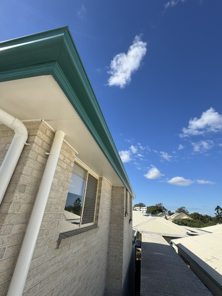 Completed exterior painting to fascia and eaves